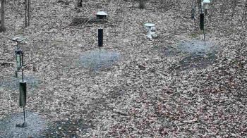 Weather camera view of Cincinnati Nature Center.