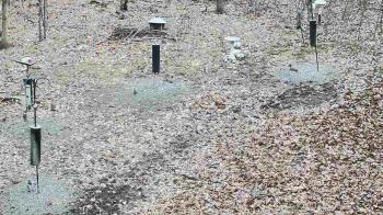 Weather camera view of Cincinnati Nature Center.