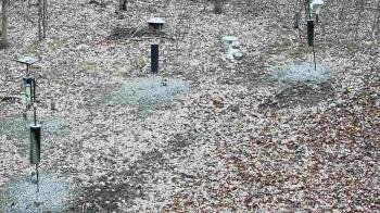 Weather camera view of Cincinnati Nature Center.