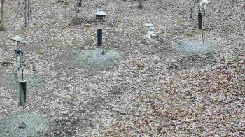 Weather camera view of Cincinnati Nature Center.