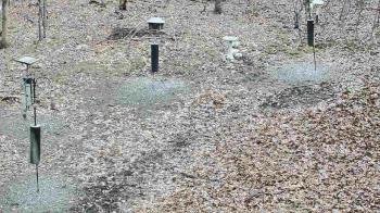 Weather camera view of Cincinnati Nature Center.