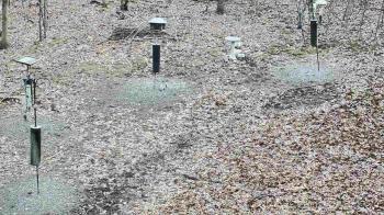 Weather camera view of Cincinnati Nature Center.