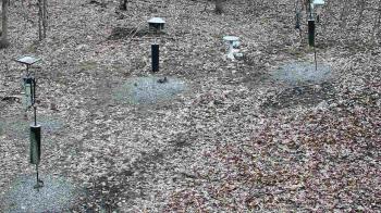 Weather camera view of Cincinnati Nature Center.