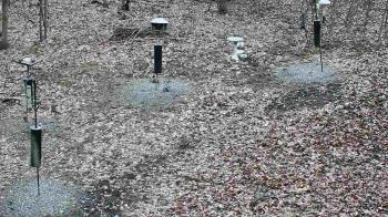 Weather camera view of Cincinnati Nature Center.