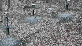 Weather camera view of Cincinnati Nature Center.