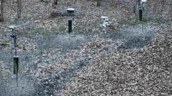 Weather camera view of Cincinnati Nature Center.