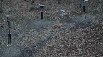 Weather camera view of Cincinnati Nature Center.