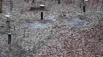 Weather camera view of Cincinnati Nature Center.