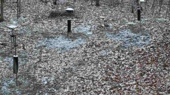 Weather camera view of Cincinnati Nature Center.