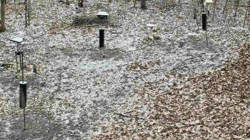 Weather camera view of Cincinnati Nature Center.