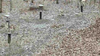 Weather camera view of Cincinnati Nature Center.