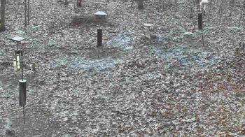 Weather camera view of Cincinnati Nature Center.