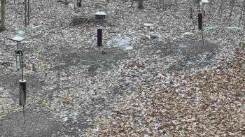 Weather camera view of Cincinnati Nature Center.