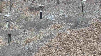 Weather camera view of Cincinnati Nature Center.