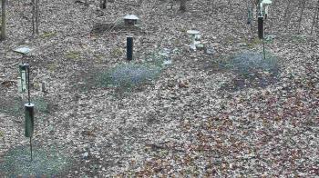 Weather camera view of Cincinnati Nature Center.