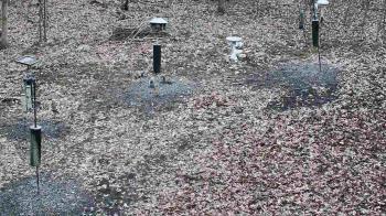 Weather camera view of Cincinnati Nature Center.