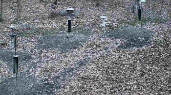 Weather camera view of Cincinnati Nature Center.