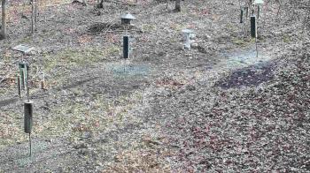 Weather camera view of Cincinnati Nature Center.