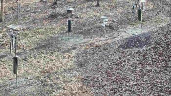 Weather camera view of Cincinnati Nature Center.
