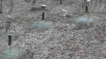 Weather camera view of Cincinnati Nature Center.