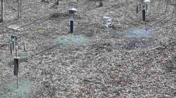 Weather camera view of Cincinnati Nature Center.