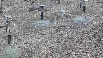 Weather camera view of Cincinnati Nature Center.