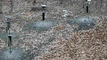 Weather camera view of Cincinnati Nature Center.