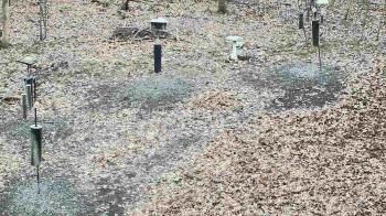 Weather camera view of Cincinnati Nature Center.