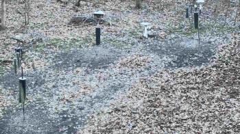 Weather camera view of Cincinnati Nature Center.