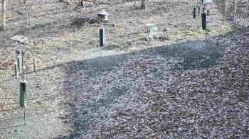 Weather camera view of Cincinnati Nature Center.