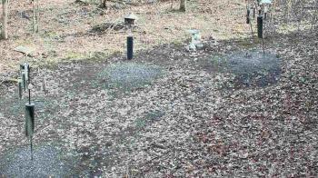 Weather camera view of Cincinnati Nature Center.