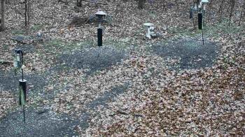 Weather camera view of Cincinnati Nature Center.