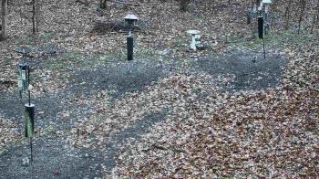 Weather camera view of Cincinnati Nature Center.