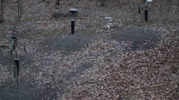 Weather camera view of Cincinnati Nature Center.