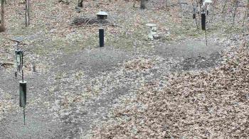 Weather camera view of Cincinnati Nature Center.