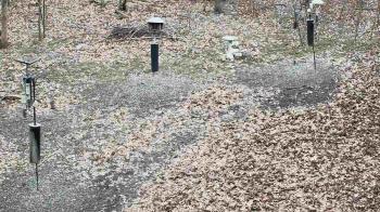 Weather camera view of Cincinnati Nature Center.