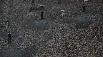 Weather camera view of Cincinnati Nature Center.