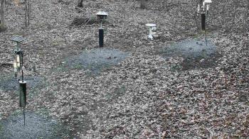 Weather camera view of Cincinnati Nature Center.