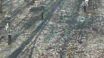 Weather camera view of Cincinnati Nature Center.