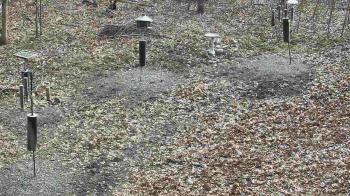 Weather camera view of Cincinnati Nature Center.