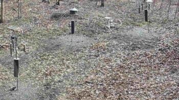 Weather camera view of Cincinnati Nature Center.