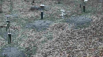 Weather camera view of Cincinnati Nature Center.