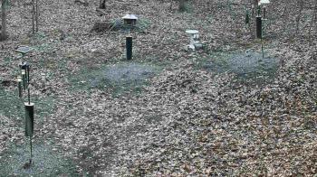 Weather camera view of Cincinnati Nature Center.