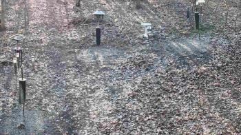 Weather camera view of Cincinnati Nature Center.
