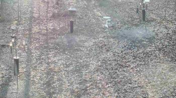Weather camera view of Cincinnati Nature Center.