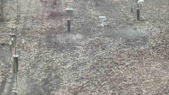 Weather camera view of Cincinnati Nature Center.
