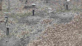 Weather camera view of Cincinnati Nature Center.