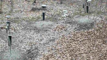 Weather camera view of Cincinnati Nature Center.