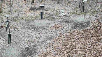Weather camera view of Cincinnati Nature Center.