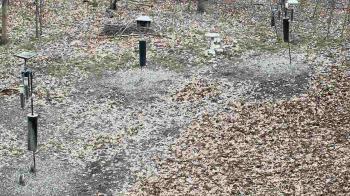 Weather camera view of Cincinnati Nature Center.